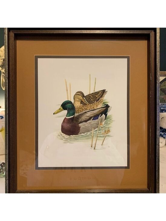 Other - Framed Nature Print by Murr 1956